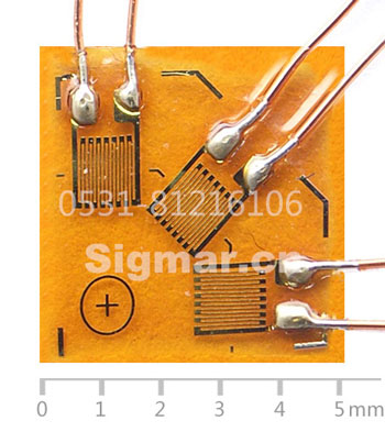 BSF120-1.0CA-T2常溫三軸應變片-(2).jpg