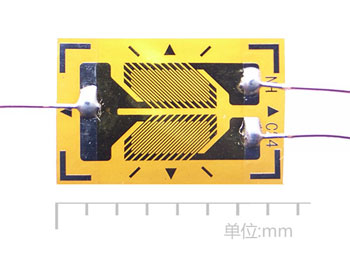 BSF120-2HA-T常溫雙軸應變片.jpg